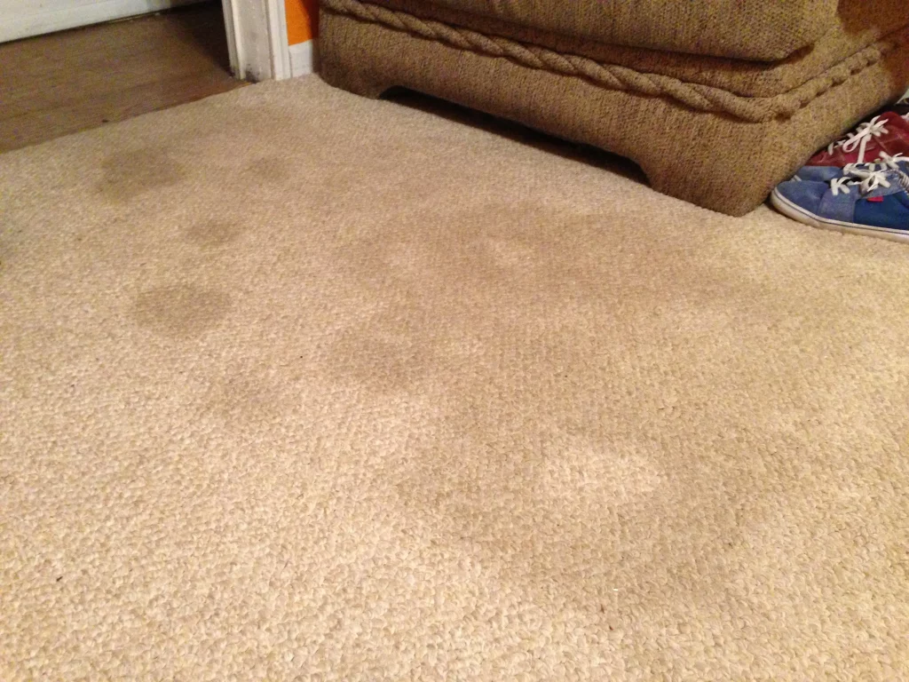 Carpet Stain 