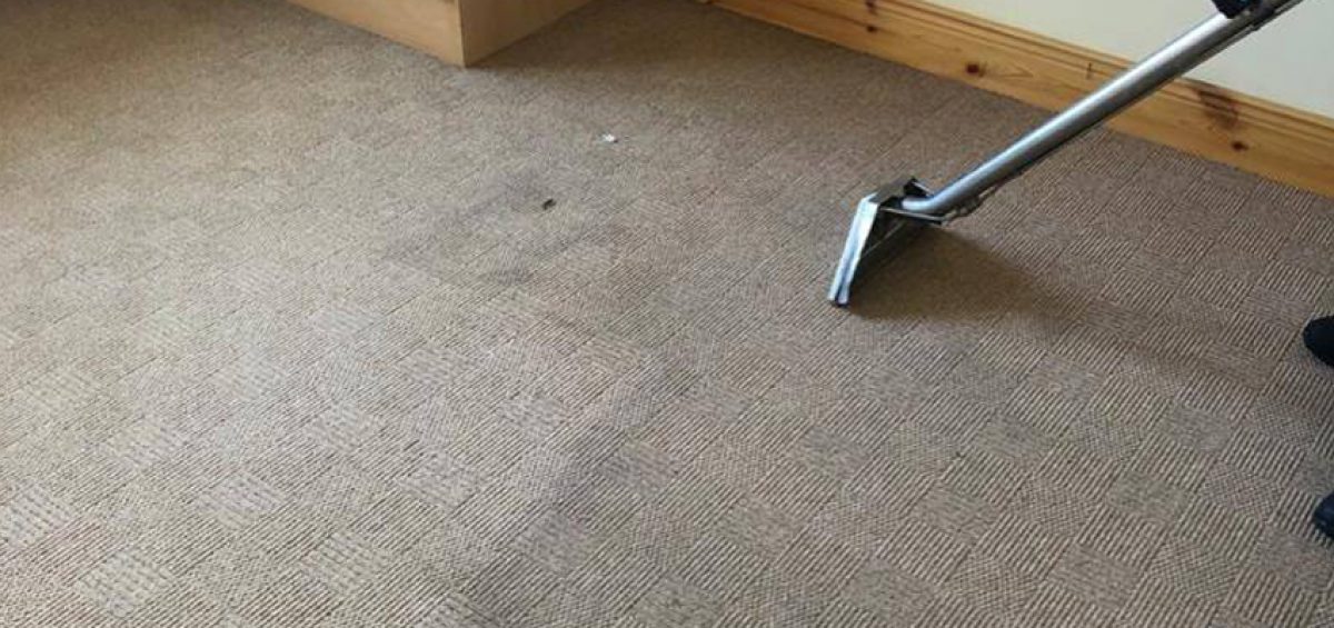Carpet Clean in room