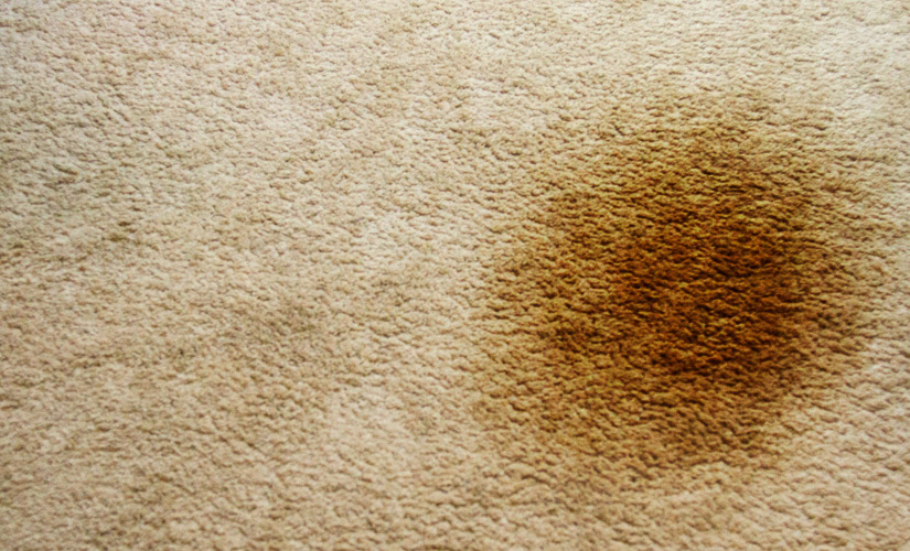 Floor Covering rug