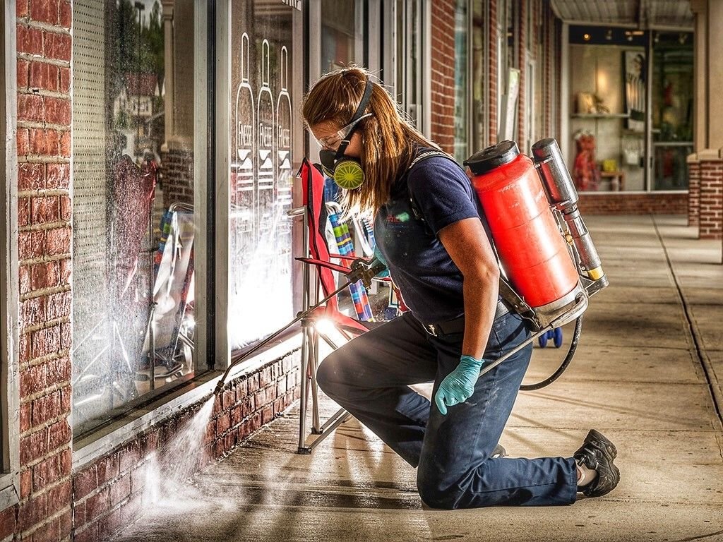 Commercial Pest Control New York: A Comprehensive Guide to Protecting Your Business