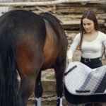 Muscle Building for Horses