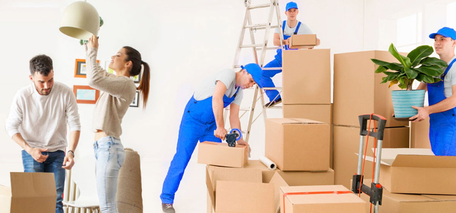 ReeDial Movers: Your Trusted Packers and Movers in Mumbai & Pune