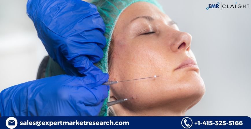 Aesthetic Threads Market Trends, Growth, and Forecast Analysis 2025-2034 |