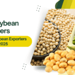 Top Soybean Producers & Biggest Soybean Exporters Worldwide 2025
