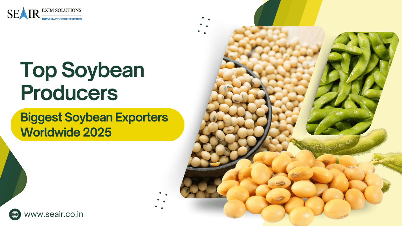 Top Soybean Producers & Biggest Soybean Exporters Worldwide 2025