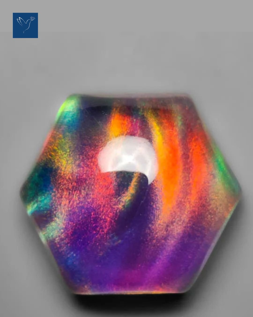 Aurora vs Ethiopian Opal: What Should You Choose for a Statement Piece?