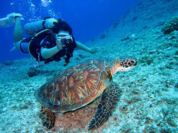 Best Time to Visit Zanzibar: Weather, Festivals & Travel Tips