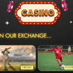 What Is 11xplay and How Does 11xplay Login Work