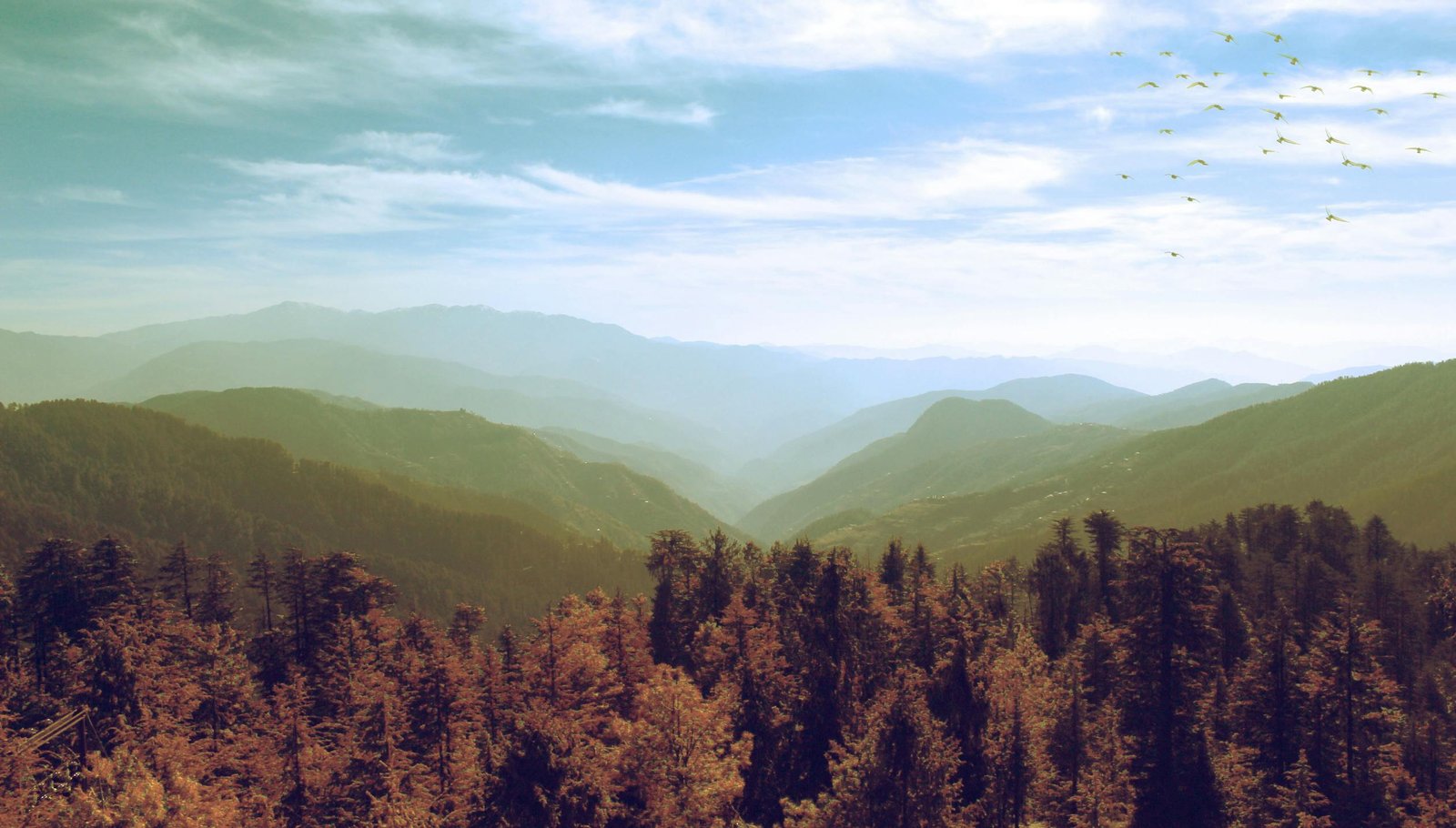 Chart a Smooth Kerala Itinerary 10 Days Experience