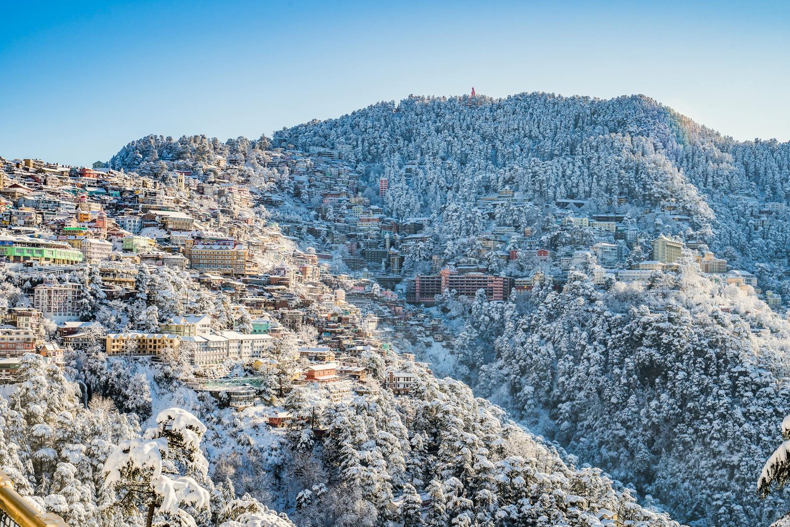 Witness Nature’s Beauty Through Himachal Tours and Travels