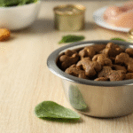 Natural Dog Treats for Sensitive Stomachs: What Works Best?