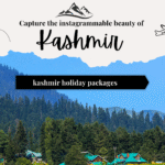 Top Kashmir Holiday Packages for an Unforgettable Vacation