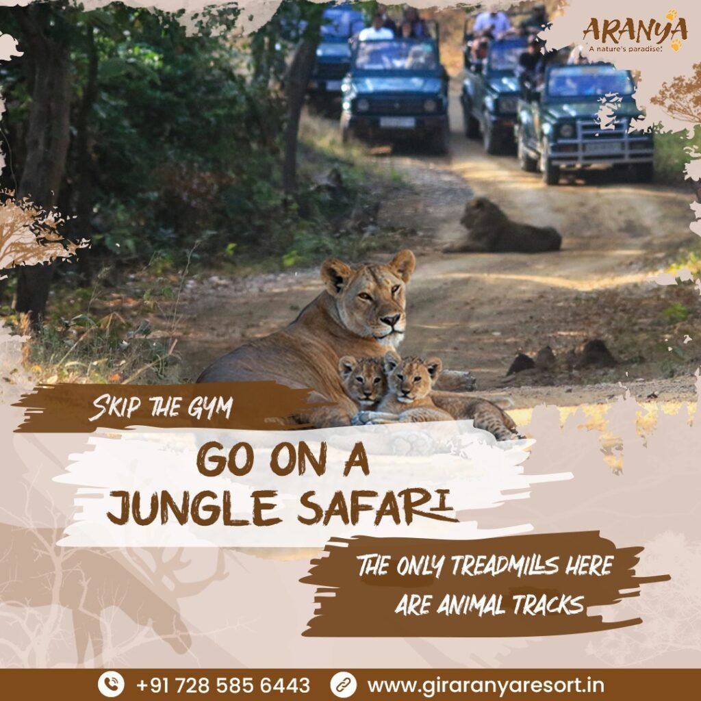 Top Things to Do in Gir with Kids