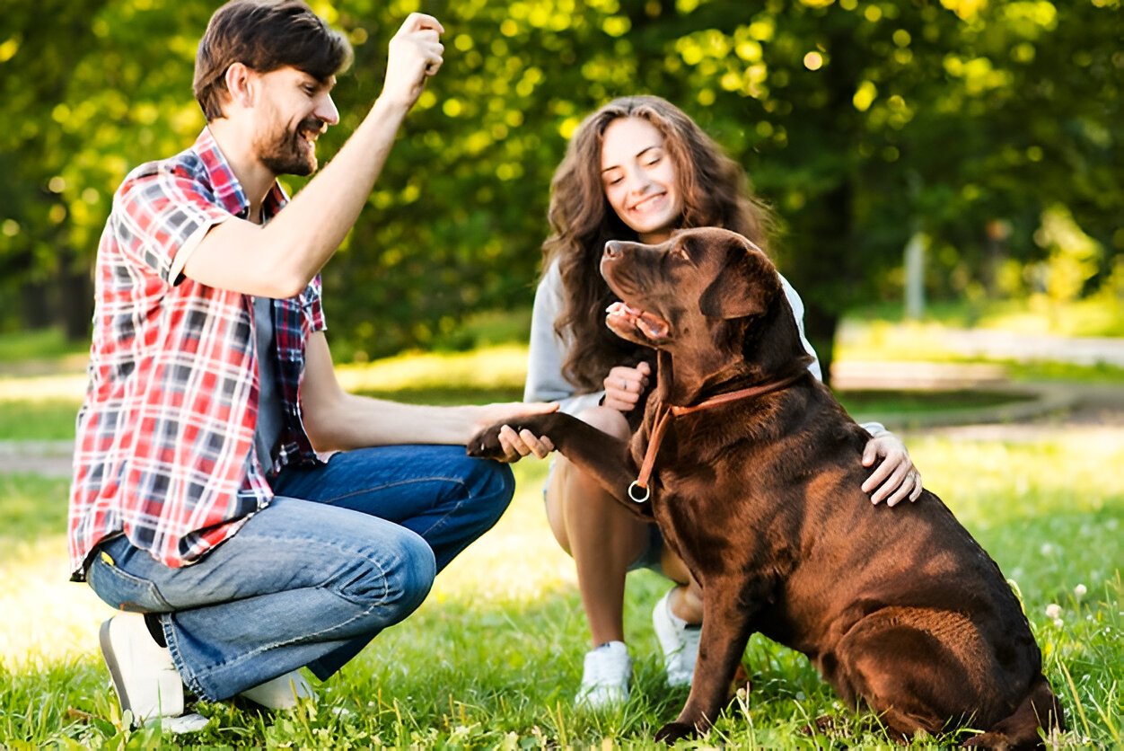 dog socialization