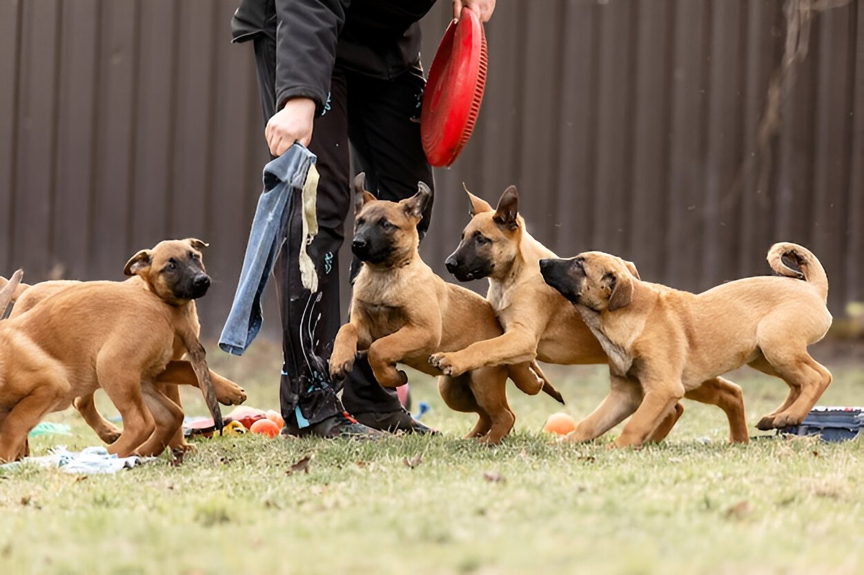 group training