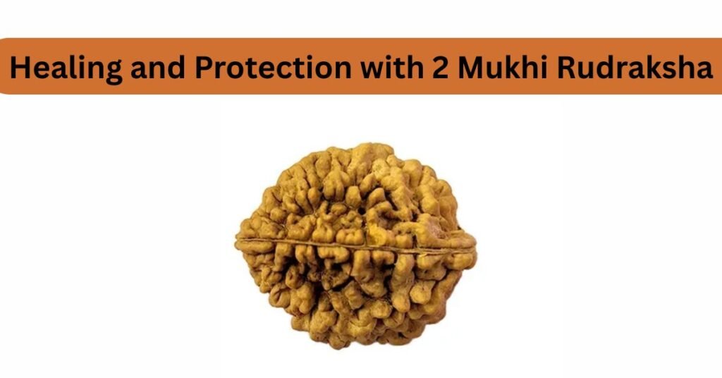 Healing and Protection with 2 Mukhi Rudraksha