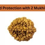 Healing and Protection with 2 Mukhi Rudraksha