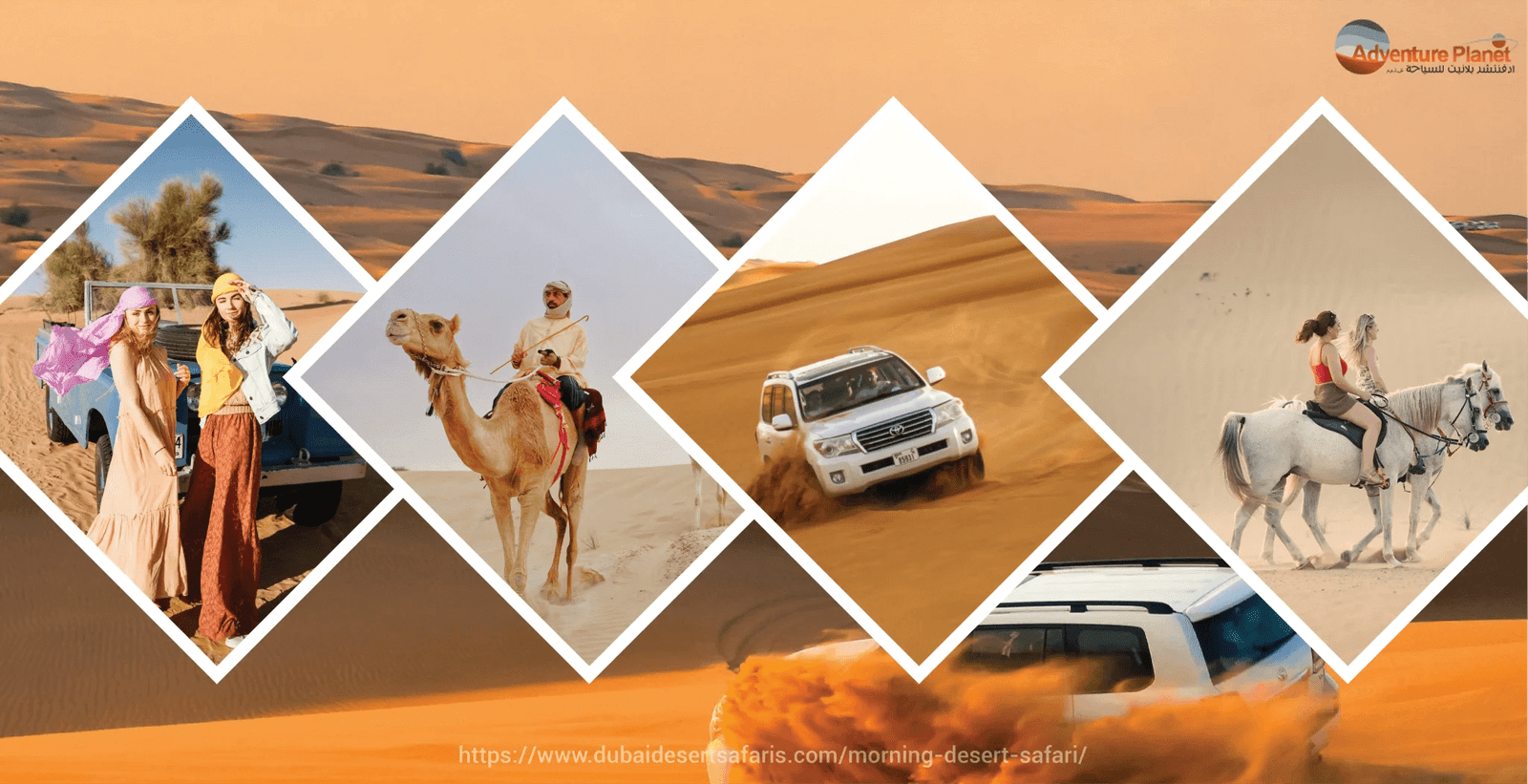 Unforgettable Morning Desert Safari Adventures