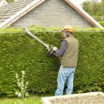 How Much Do Gardeners Charge for Hedge Trimming?