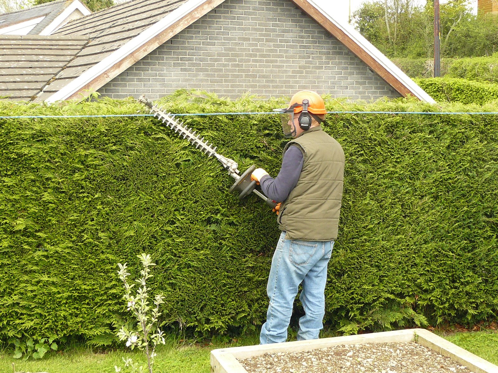 How Much Do Gardeners Charge for Hedge Trimming?