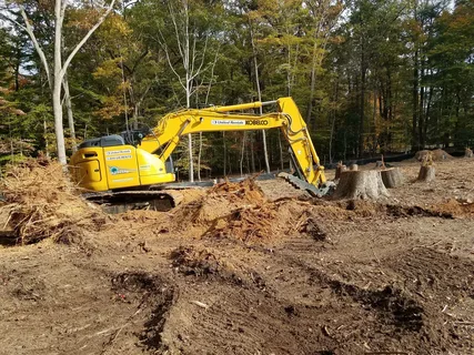 What Are the Steps in Site Clearance in Derby?