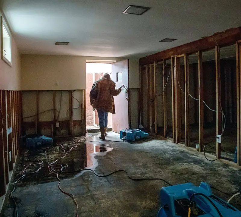 What Are the Long-Term Risks of Ignoring Water Damage?