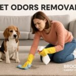 How Can Pet Odor Removal Improve Indoor Air Quality in Brooklyn Houses?