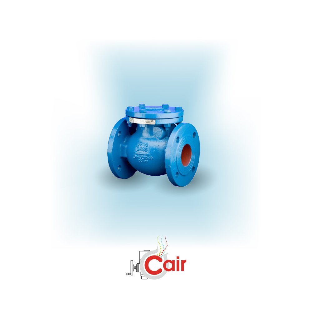 A Complete Guide to Non Return Valve IS 5312-2 for Engineers