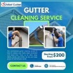 Professional Gutter Cleaning Services in Ascot Vale, VIC
