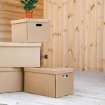 Why Cardboard Boxes Are the Backbone of the Packaging Industry