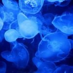 Creative Enzymes Unveils Advanced Substrate, Inhibitor, and Ligand Screening Services