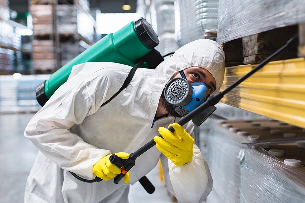 How Local Homes Are Fighting Back Against Hidden Termite Damage