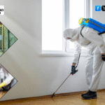 Best Pest Control Services in Noida