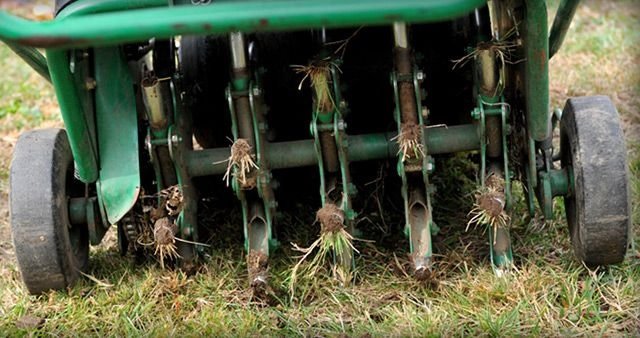 Aerating Lawn Service