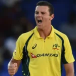 Cricket