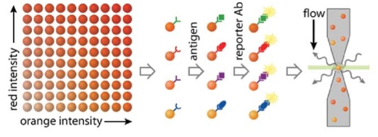 multiplex assays