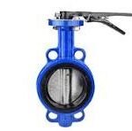 Butterfly Valve