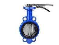 Industrial Butterfly Valve Manufacturer – Wafer, Lug, Flanged & More