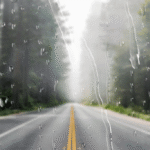 Monsoon Homestays in Nainital