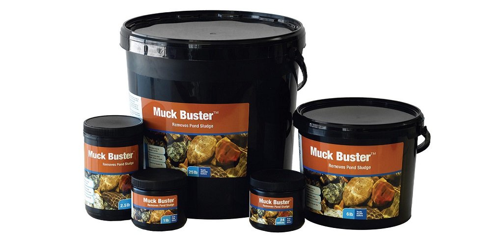 Why Managing Pond Muck Matters More Than You Think for Big Backyard Owners