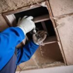 What Makes Air Duct Cleaning a Smart Investment in Jacksonville Real Estate?