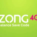 Zong Balance Save Code