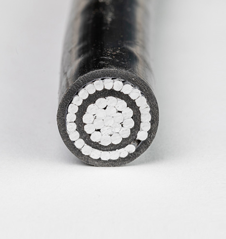 concentric cable