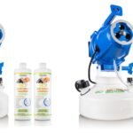 Beyond Cleaning: Proactive Strategies to Banish Mold From Your Home