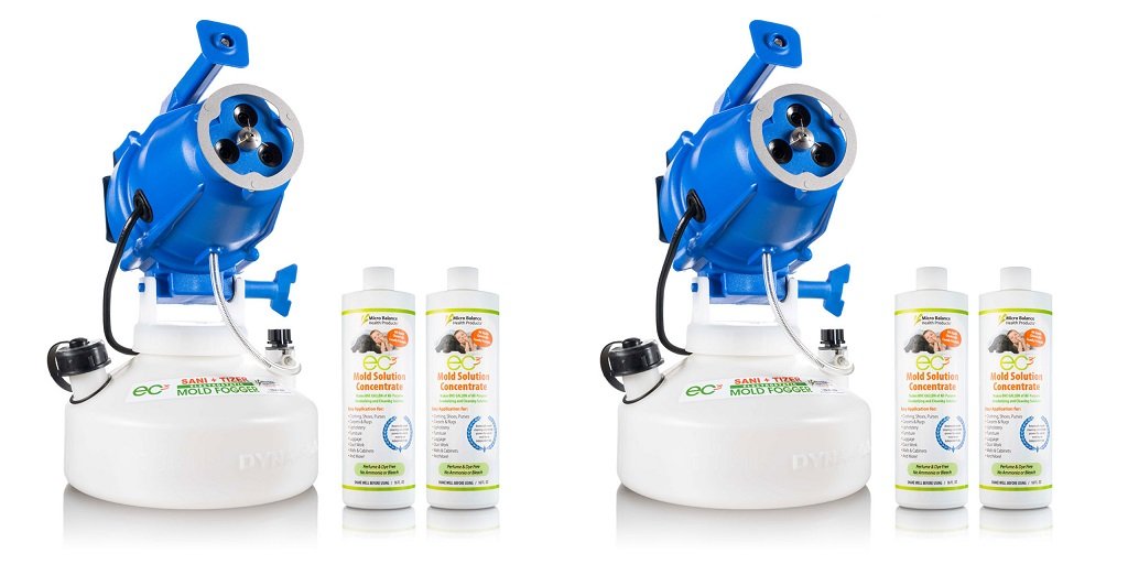 Beyond Cleaning: Proactive Strategies to Banish Mold From Your Home
