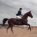 Horse Racing Odds API: The Ultimate Solution for Bookmakers & Betting Platforms