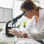 How to Verify Kratom Quality When Searching Near Me USA