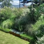 Residential Landscaping