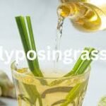 Lyposingrass and Whole-Body Detox: A Natural Path to Clean Living