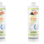 Mold Solution vs. Enzyme Concentrate: What’s the Difference?